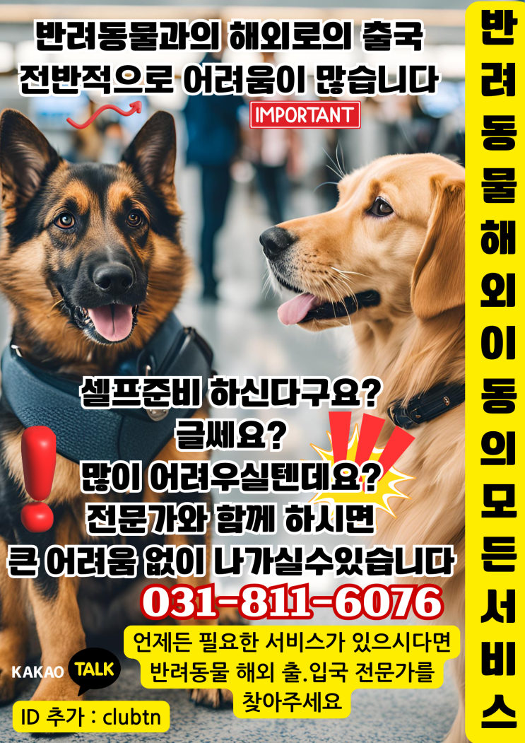  강아지 건강증명서 고양이 건강증명서 반려동물 출국 애견 출국 반려견 해외로 출국 서류 준비 빨리 하는법!! [TIP]