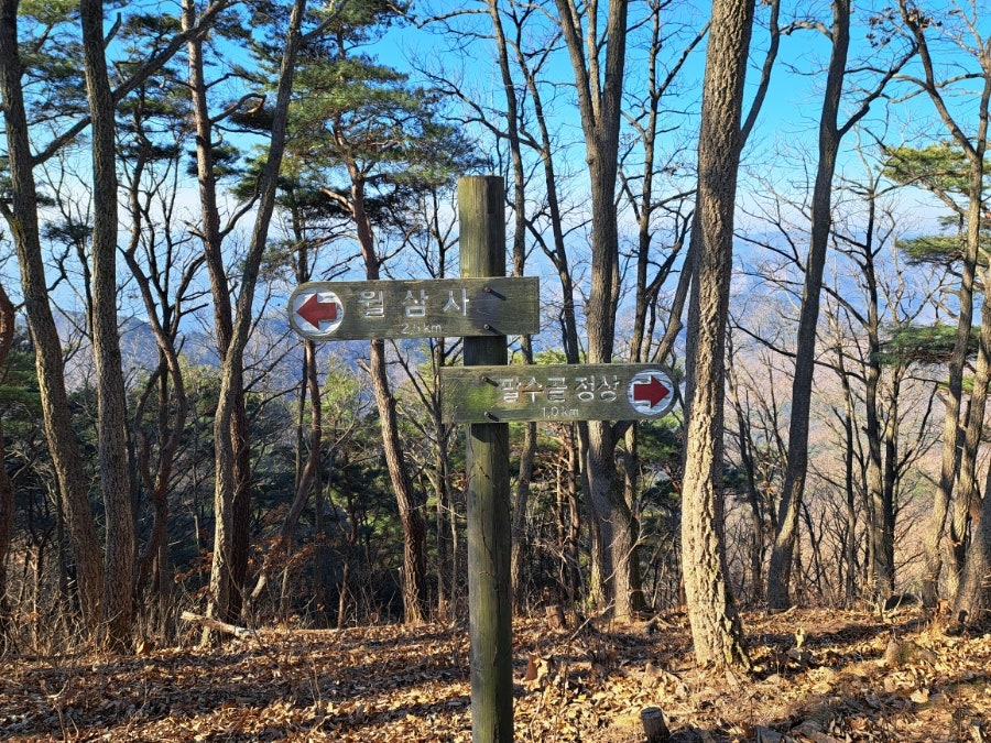 표대산 사진 6
