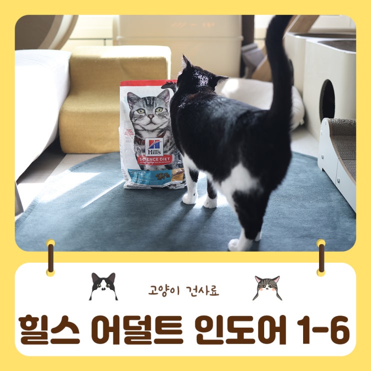  기호성좋고 믿을 수 있는 고양이 사료추천 힐스 사이언스  다이어트 어덜트 인도어