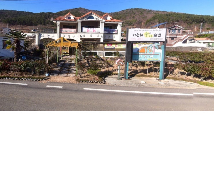 지중해캠프 지중해캠프