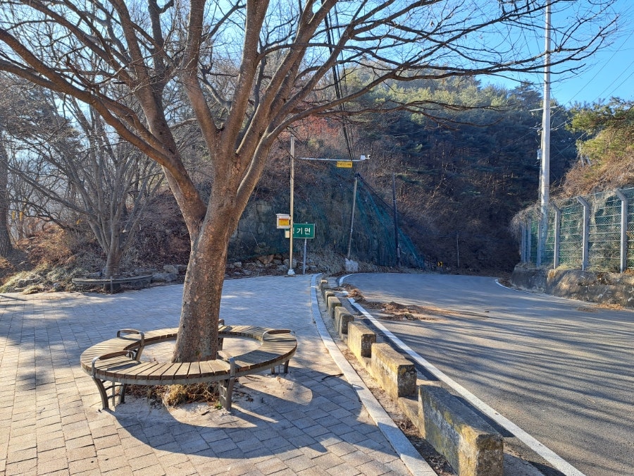 표대산 사진 1