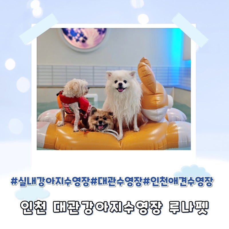 사진 7