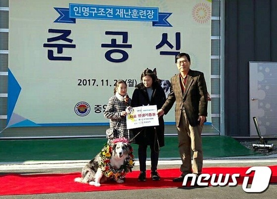 신비로애견학교