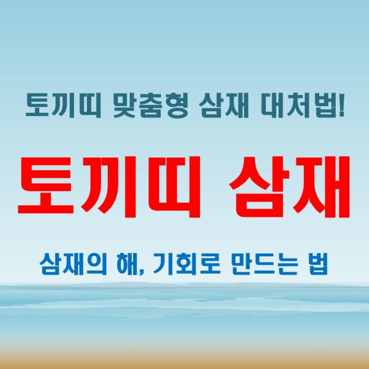  토끼띠 삼재가 불러오는 2025년, 나이에 따른 맞춤형 대처법