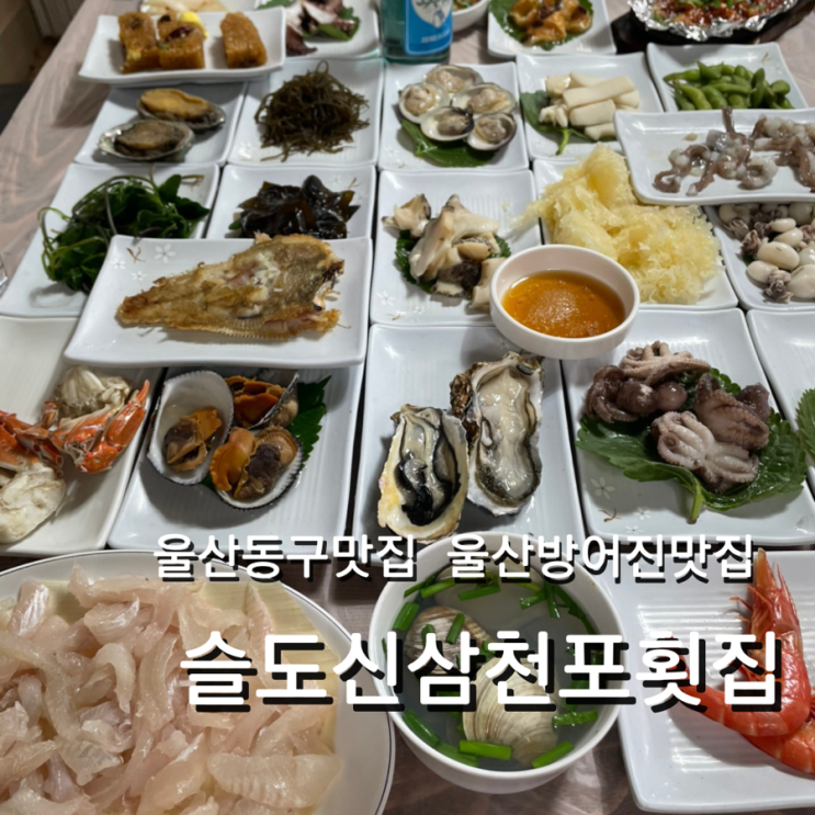  울산 동구 방어진맛집 슬도 신삼천포횟집 가족모임 추천