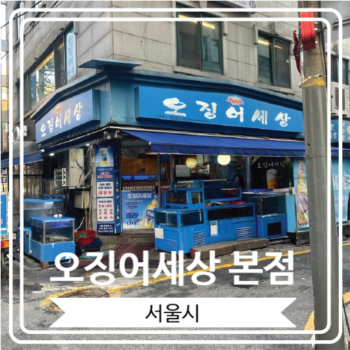  [오징어세상 본점] 새마을전통시장 근처 오징어회 먹으로 가는 곳