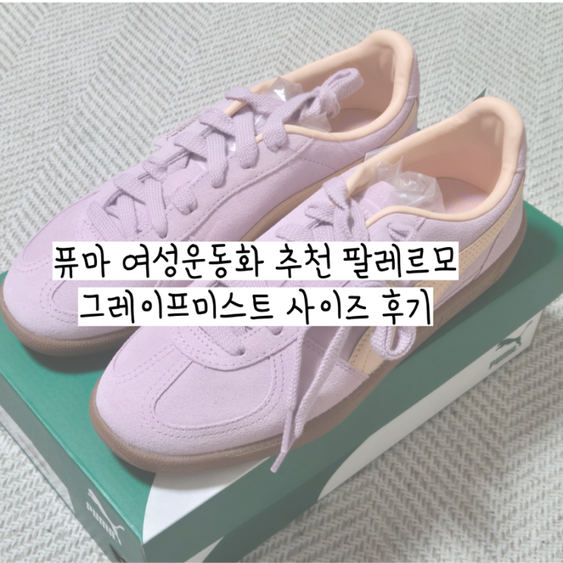 퓨마 여성운동화 추천 팔레르모 그레이프 미스트 사이즈 후기