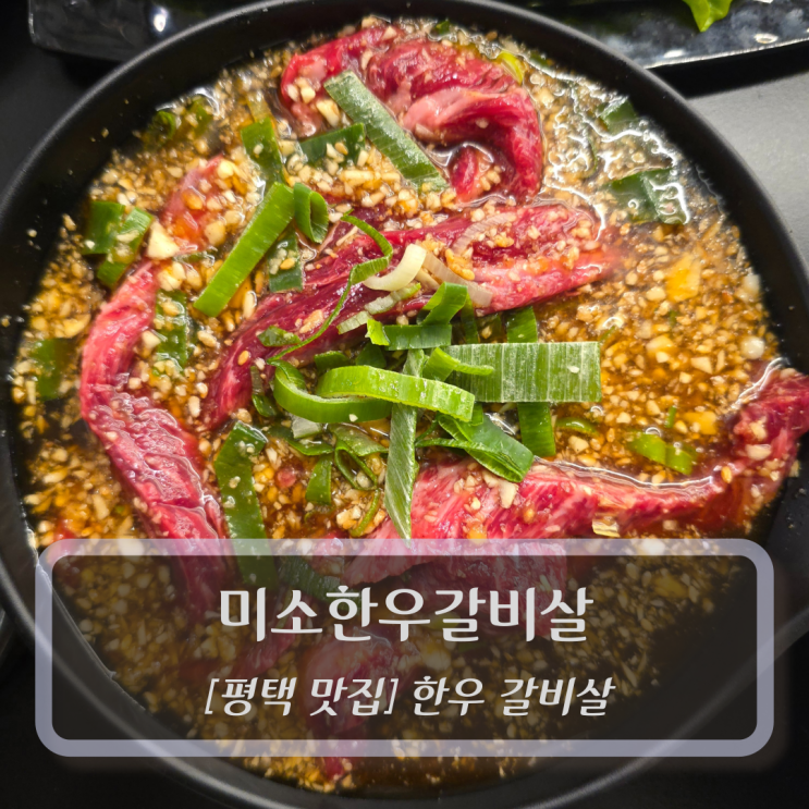  평택 맛집 :: 미소한우갈비살 - 비전동맛집 소고기 한우