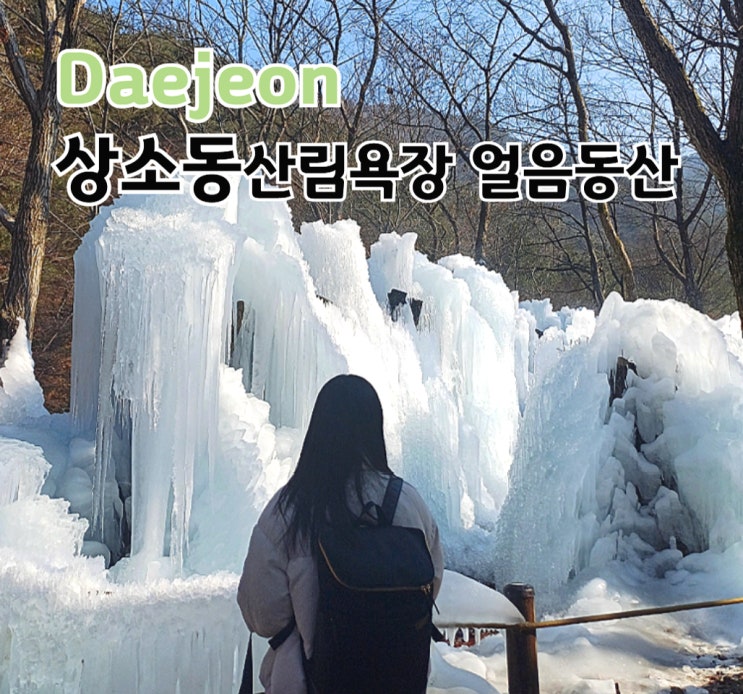 대전 상소동 산림욕장 겨울 얼음동산 기간 뚜벅이 버스