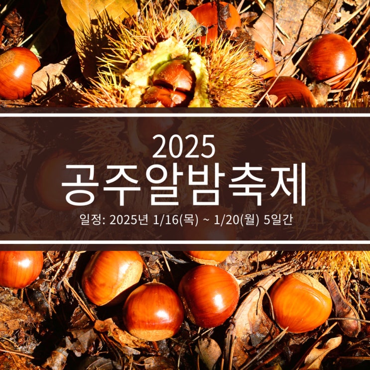  2025 공주알밤축제 기본 정보, 공주시 군밤축제 행사 일정!