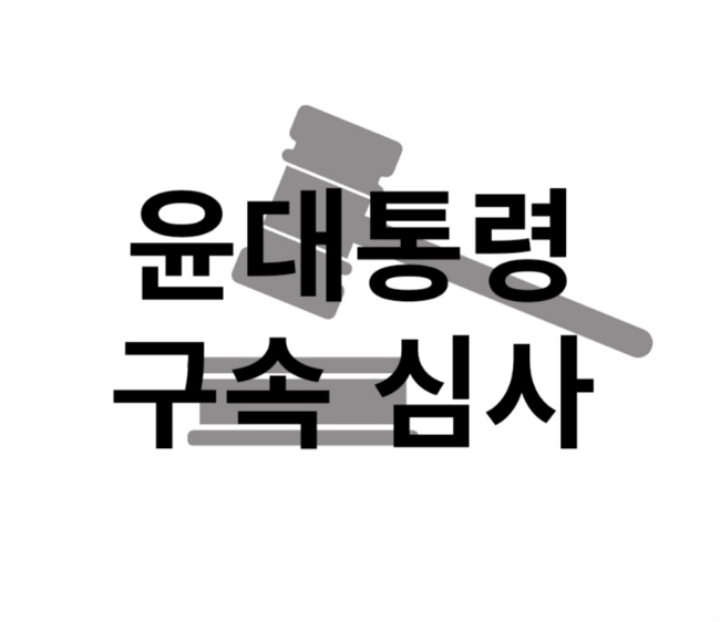 <b>차은경</b> 부장 <b>판사</b> 누구? 윤석열 대통령 구속 영장 심사 발부... 