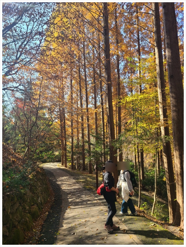 <b>고딩</b>친구들과 떠난 장태산 단풍 당일여행