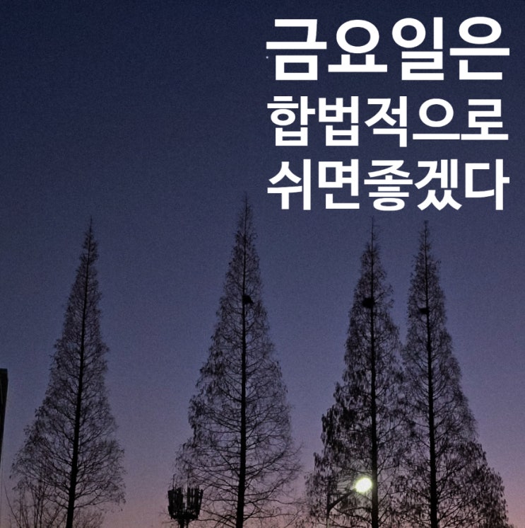  250117_거부적 회피 유형의 갱수기