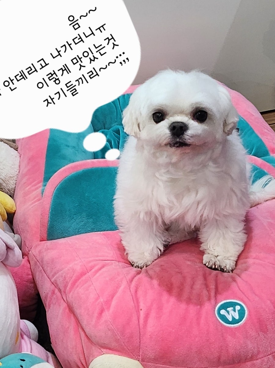 화탄메기매운탕 사진 5