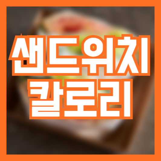  샌드위치 칼로리 건강해서 먹었는데!? 식사대용!?
