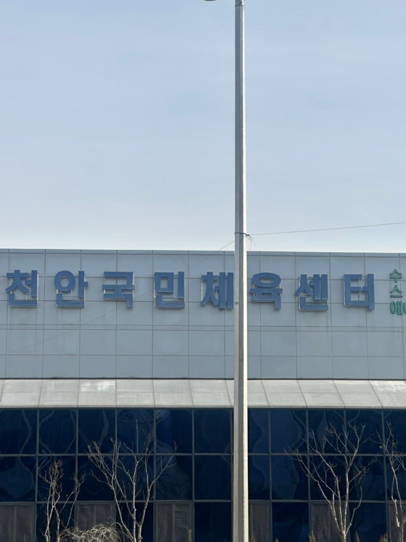 천안국민체육센터 50m 수영장 자유수영 일일입장 후기