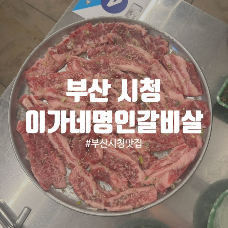  부산시청 소고기맛집 아가네명인갈비살 부산시청점