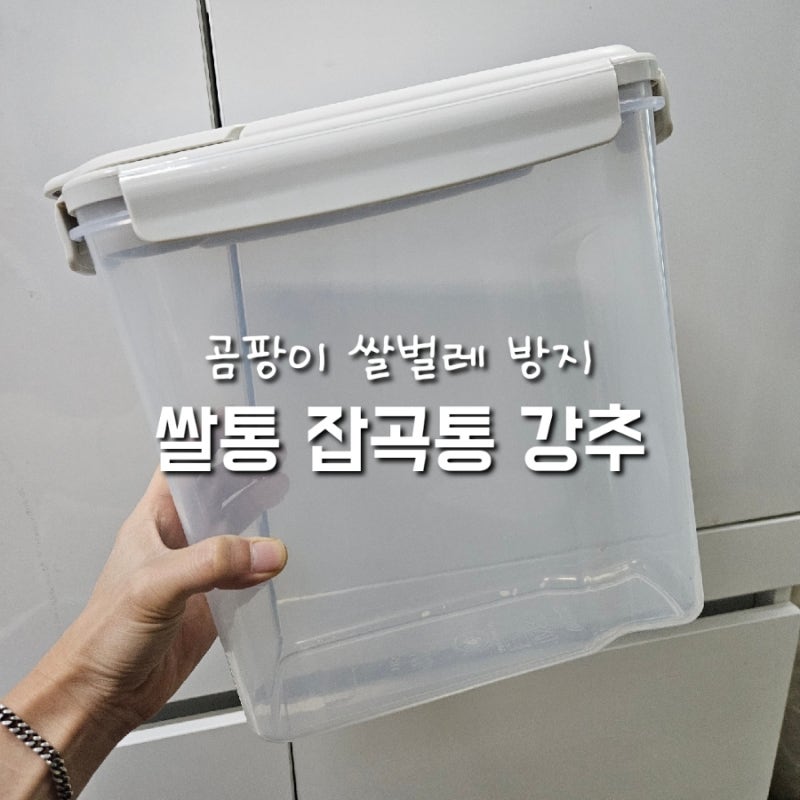락앤락 쌀통 10kg, 3번 버린 후기 - 곰팡이쌀 방지 잡곡통 추천
