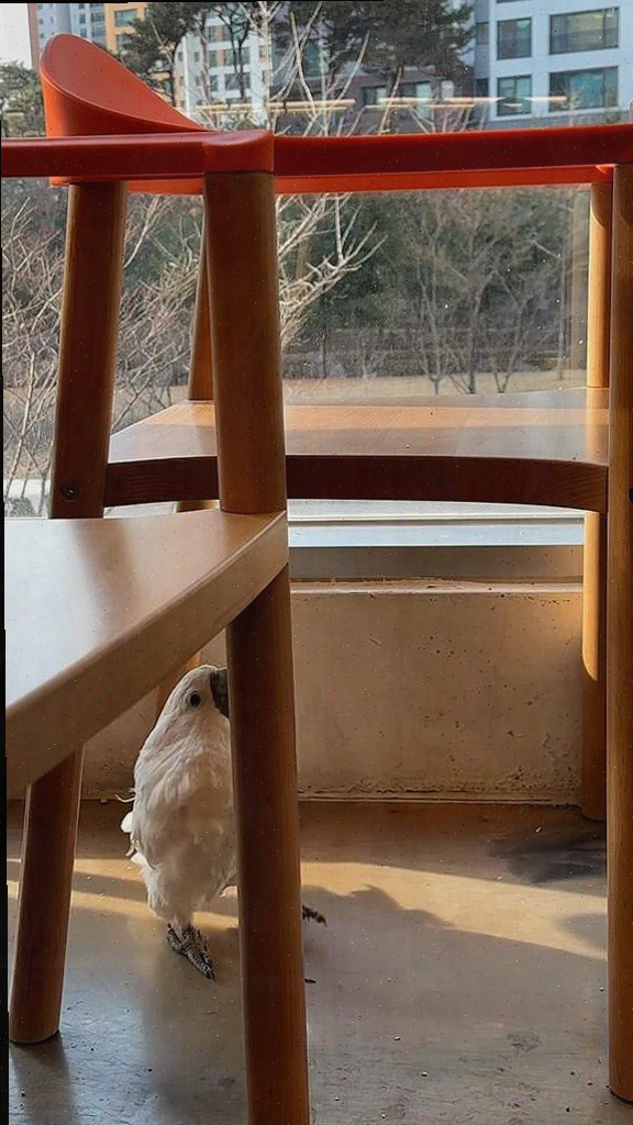  하남 앵무새카페, 특별한 체험과 맛있는 수제 음료