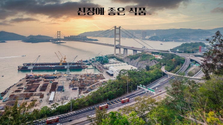  신장에 좋은 식품