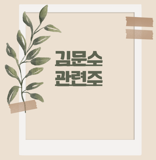 김문수 관련주, 한눈에 정리한 투자 가이드