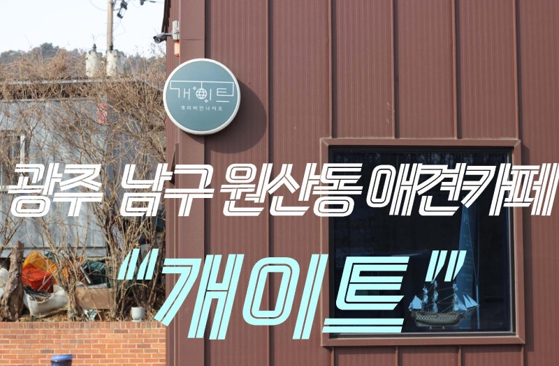 사진 2