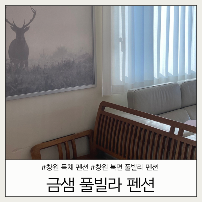 사진 4