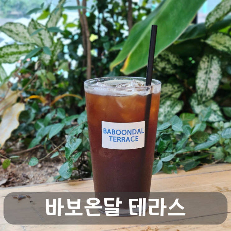  고양시 대형 베이커리 카페, 바보온달 테라스