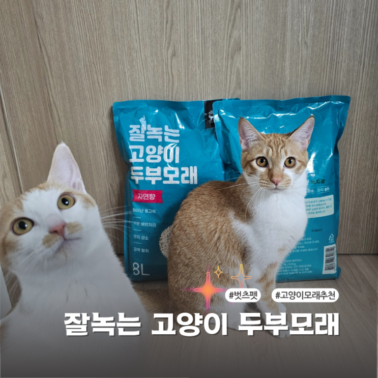 8L 고양이모래 추천 벗츠펫 잘녹는 고양이 두부모래