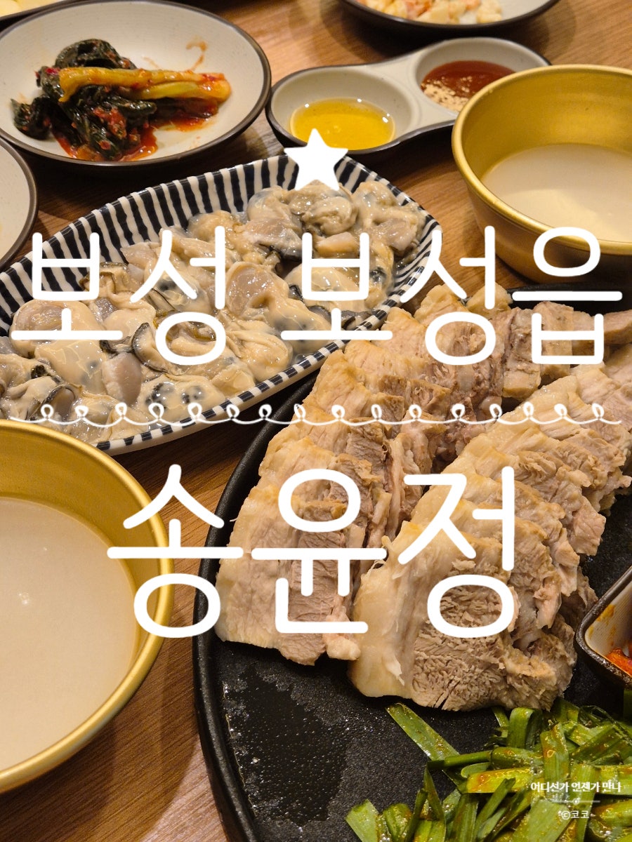 송윤정 사진 1
