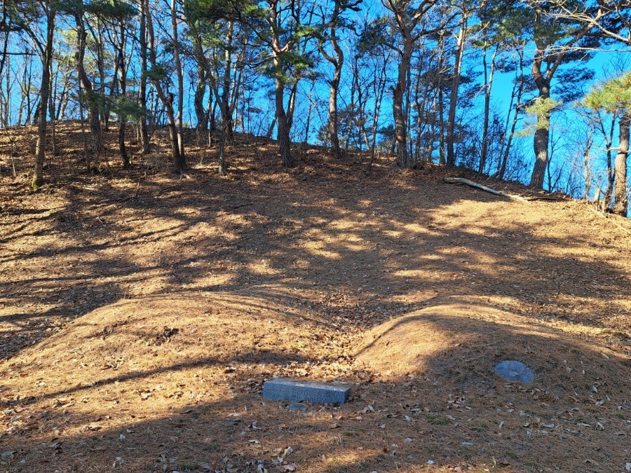 표대산 사진 2