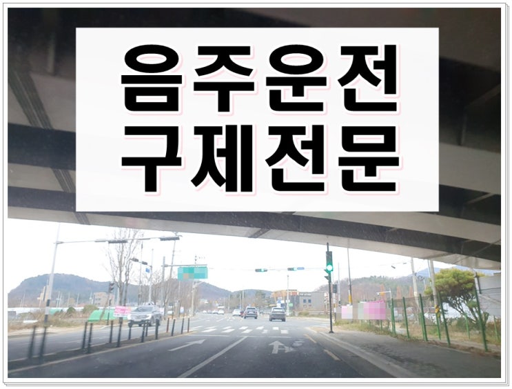  혈중알코올농도 음주운전수치 0.126% 반성문 탄원서 처분 구제