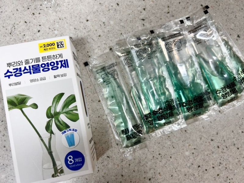 다이소 식물영양제 수경재배 수경식물영양제 카랑코에 잎꽂이 번식