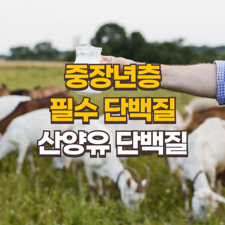  중장년층 필수 단백질, 산양유 단백질로 건강한 노화 시작하세요!