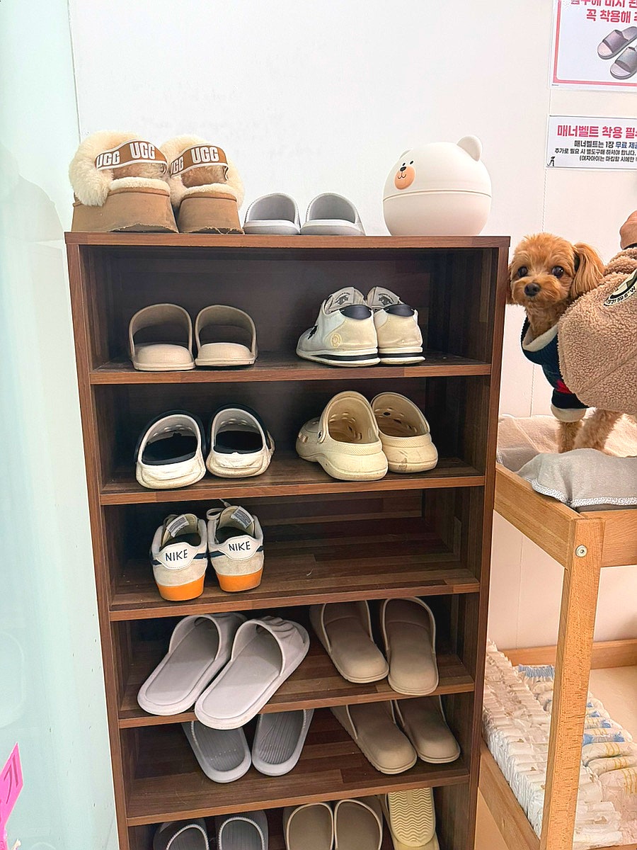 또멍냥 사진 5