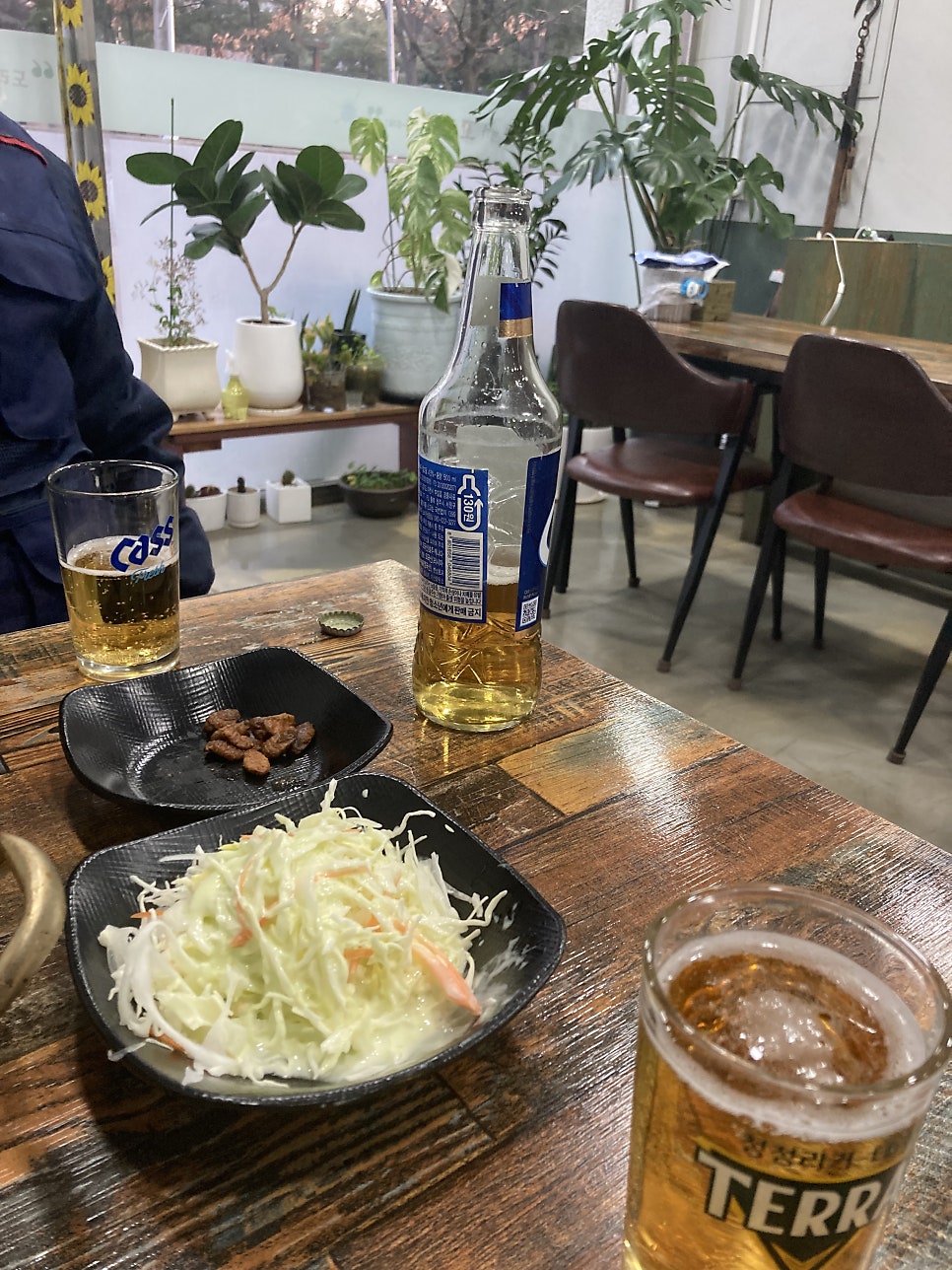 꼬꼬야 사진 6