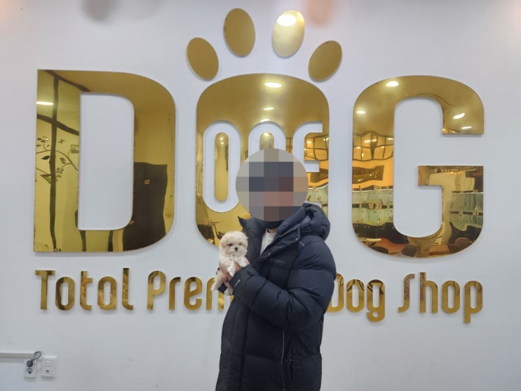  세종시 강아지분양 추천! 정성과 사랑으로 돌본 건강한 말티푸 공주님 입양 스토리  원독 애견분양 센터