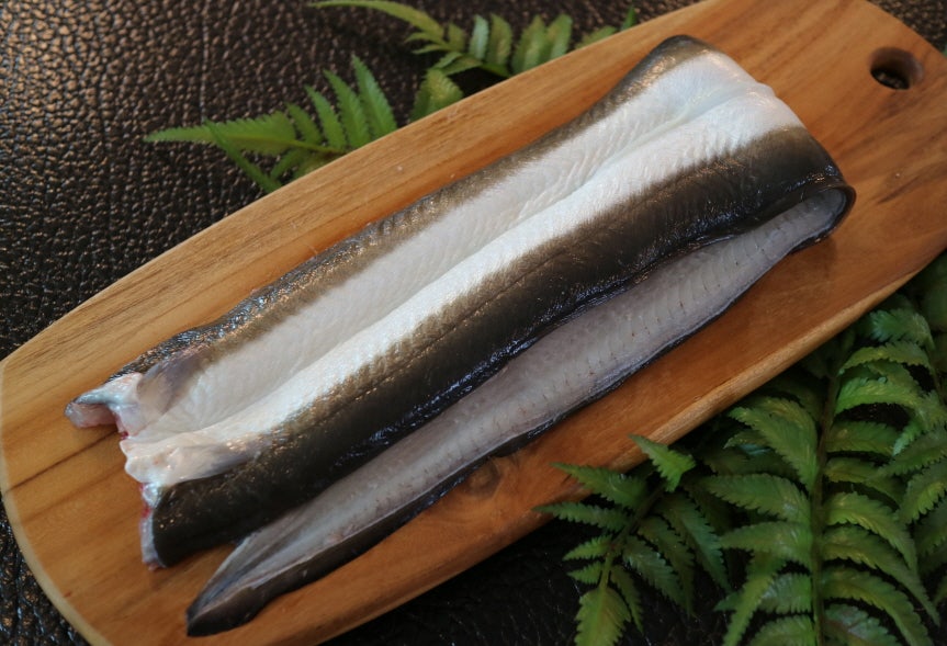 핀다장어직판장 핀다아쿠아포닉스 사진 2