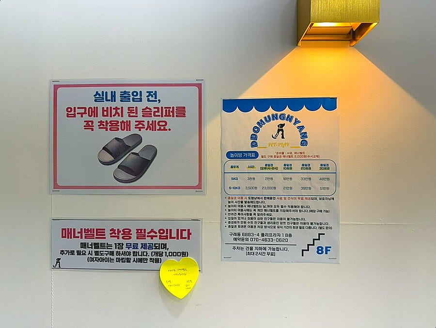 또멍냥 사진 6