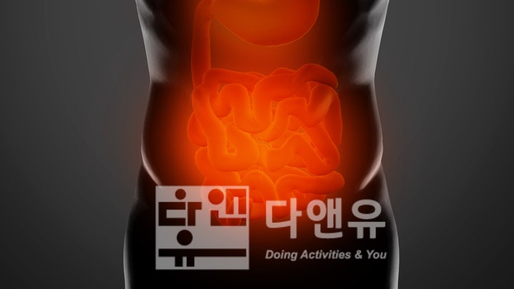 장애인복지법 기준 장루·요루장애의 장애등급에 따라 받을 수 있는 복지 혜택 총정리 : 네이버 블로그