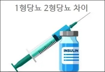  1형당뇨 2형당뇨 차이 쉽게 설명