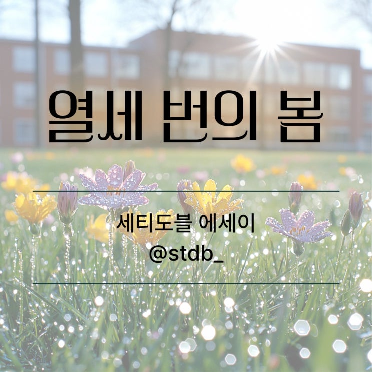  <열세 번의 봄> 세티도블 일상 에세이
