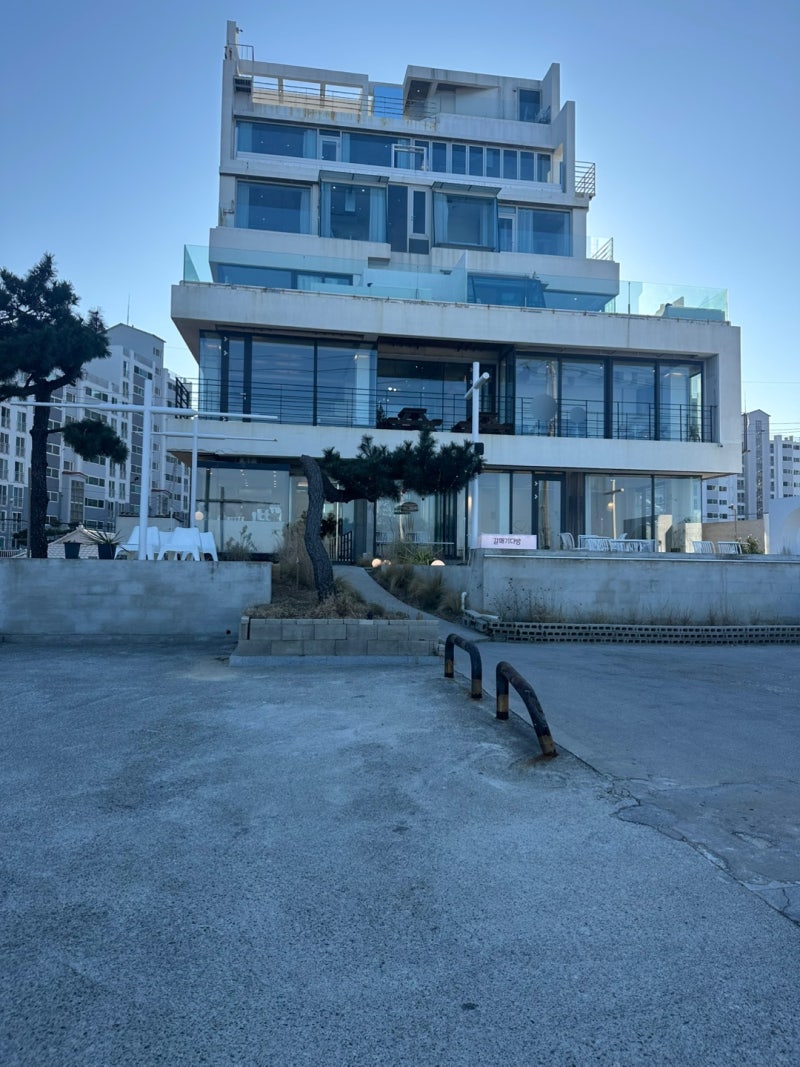 갈매기다방