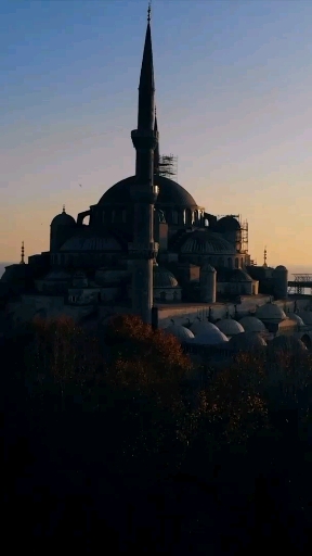 뭉치면 살고 흩어지면 죽는다 뭉치면 살고 흩어지면 죽는다