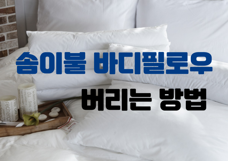 바디필로우 솜이불 버리는법 이거 모르면 과태료