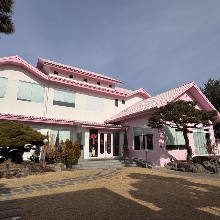  청주 대형카페 투더문, 디저트와 커피가 있는 힐링 공간