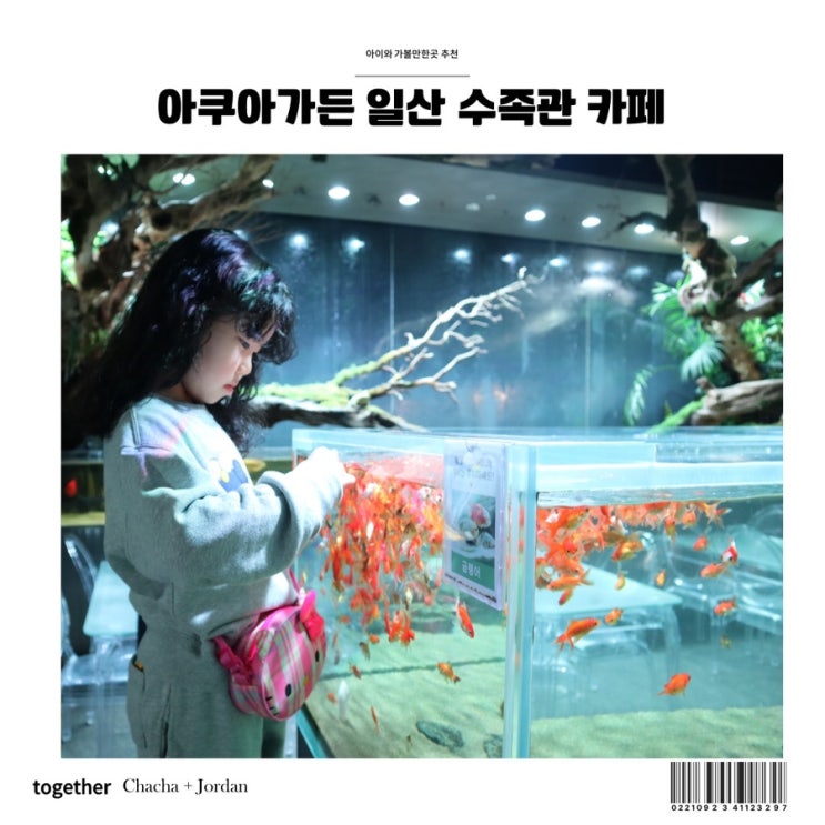  아쿠아가든 일산 수족관카페 실내데이트 아이와가볼만한곳 추천