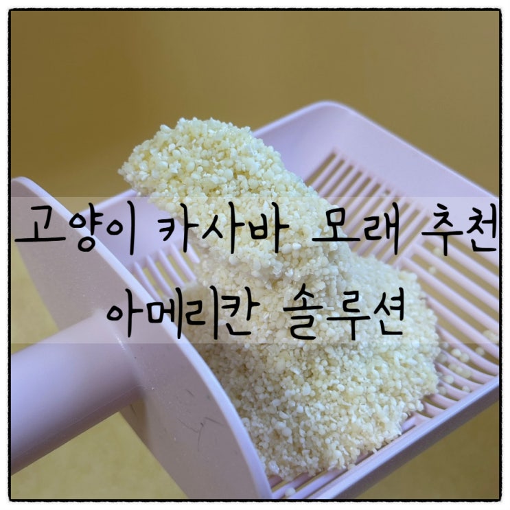  단단하게 뭉치는 고양이 카사바 모래, 아메리칸솔루션