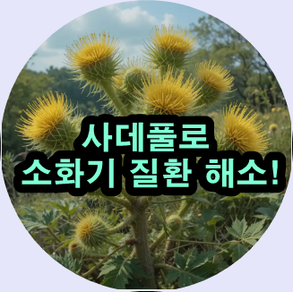  사데풀의 해독 효과와 소화기 질환 치료법