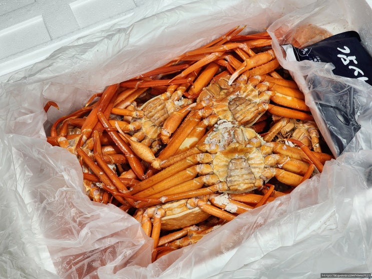 자숙홍게 데우기 냉장냉동 보관방법 특별한수산 후기 자숙홍게 데우기 냉장냉동 보관방법 특별한수산 후기